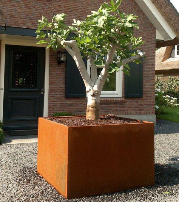 large square corten steel tree planter
