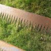 shark corten edging on grass