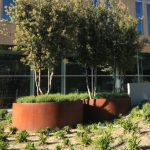 round Corten steel raised planters with trees